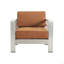 Coussin de chaise club-1882007463