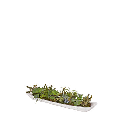 Assorted Succulents in Fortune Wood Tray