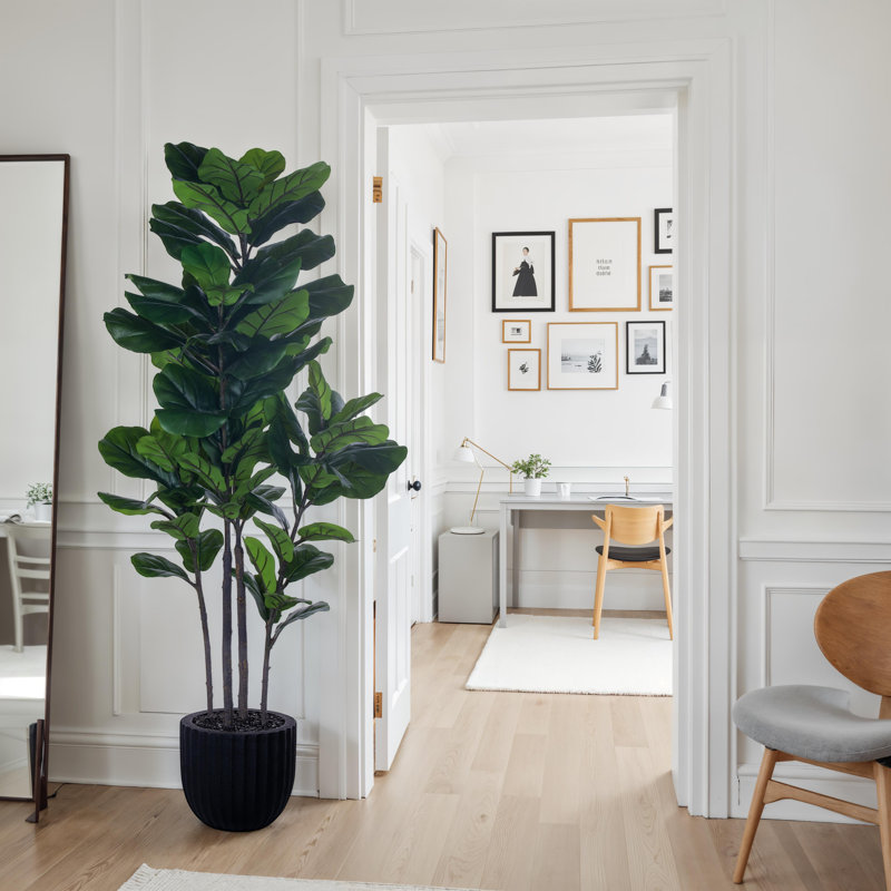 72 po plante verte violette en pot