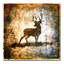 « high country cerf », reproduction d’impression sur toile tendue-21937199