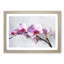 Orchid Flowers Vol.5 - Framed Print-62761601-62761604