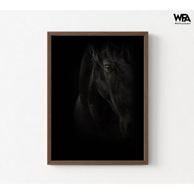 «Black Pearl» par PhotoINC Studio, reproduction de photographie de grand cheval noir, art nouveau cheval noir, art du grand cheval noir