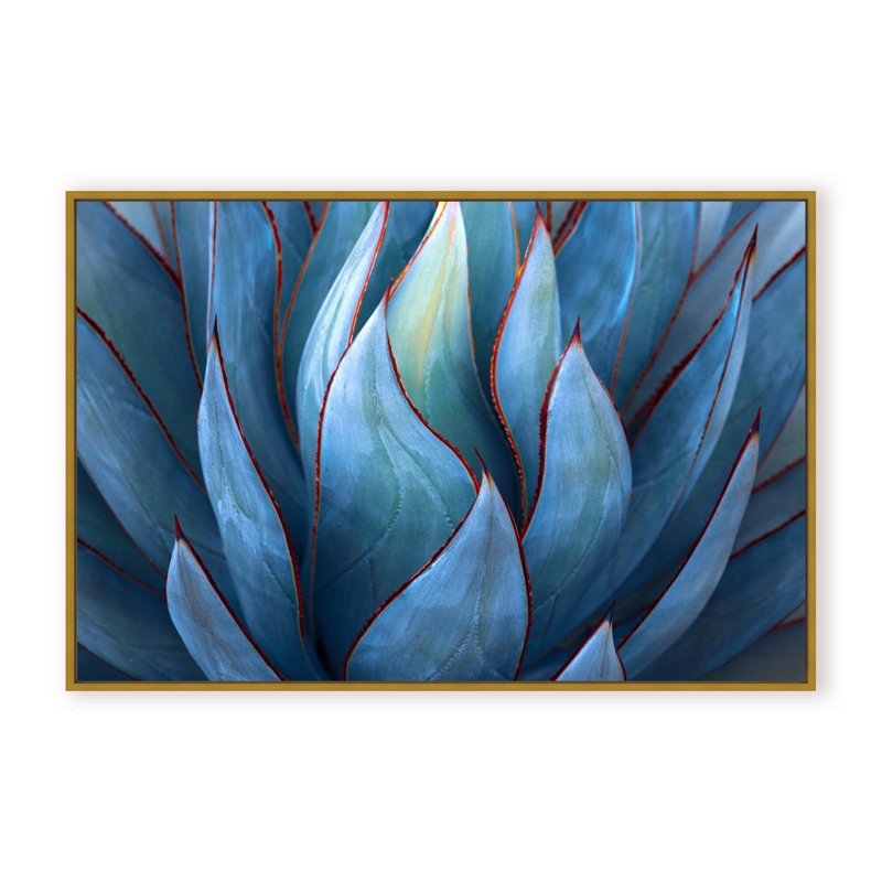 Nature Inspired Blue Agave Abstract by  - Picture Frame Graphic Art on Paper, 32" H x 48" W x 1.125" D, Black