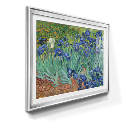 " Irises "