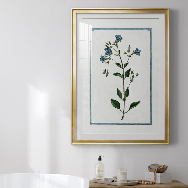 Shabby Elegance Botanical II, reproduction encadrée de qualité supérieure - prête à être accrochée, Cadre doré