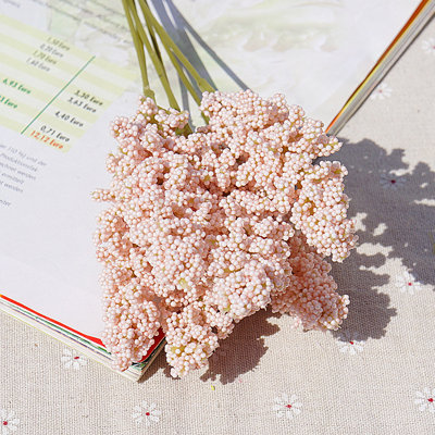 Foam Vanilla Arrangement