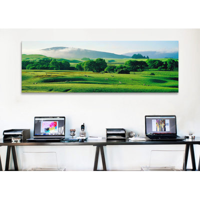 " Farmland Southland New Zealand "