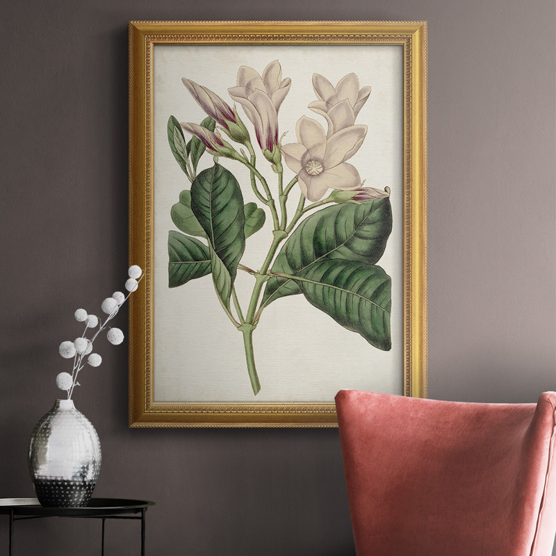 Antique Botanical Collection IX " Antique Botanical Collection IX " Painting Print, 27" H x 18" W x 2.5" D