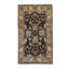 Oriental Area Rug in Cream