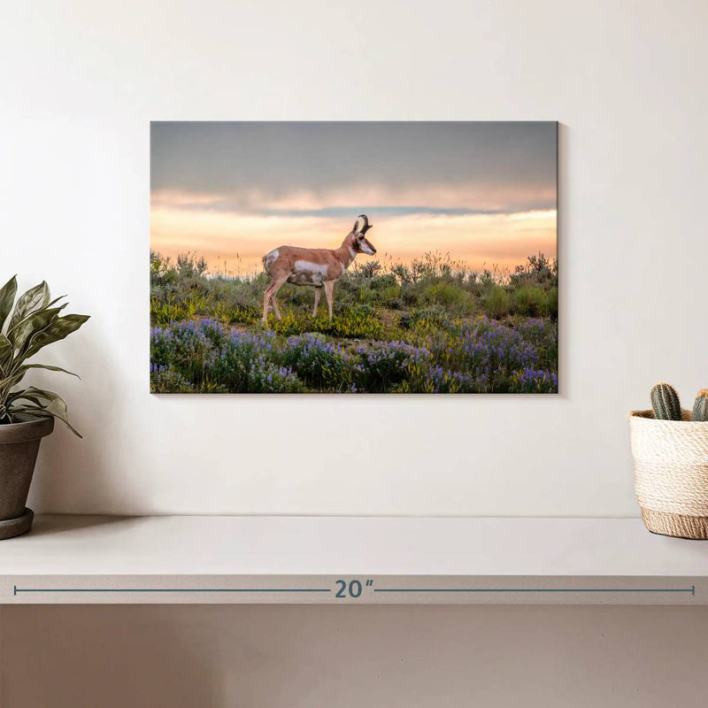 Brampt Pronghorn Antelope, 8" H x 12" W