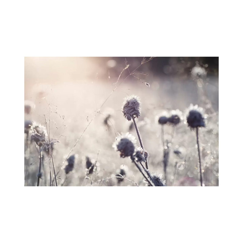 Frost I by Andreas Stridsberg - Gallery-Wrapped Canvas Giclée on Canvas, Canvas, 66.04 cm H x 45.72 cm W x 1.91 cm D