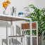 Solid Wood Dining Set
