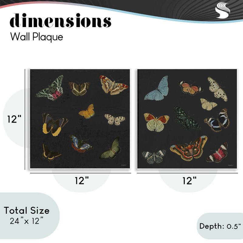Ensemble de 2 plaques murales Entomology Collection on Black, par Dan Meneely