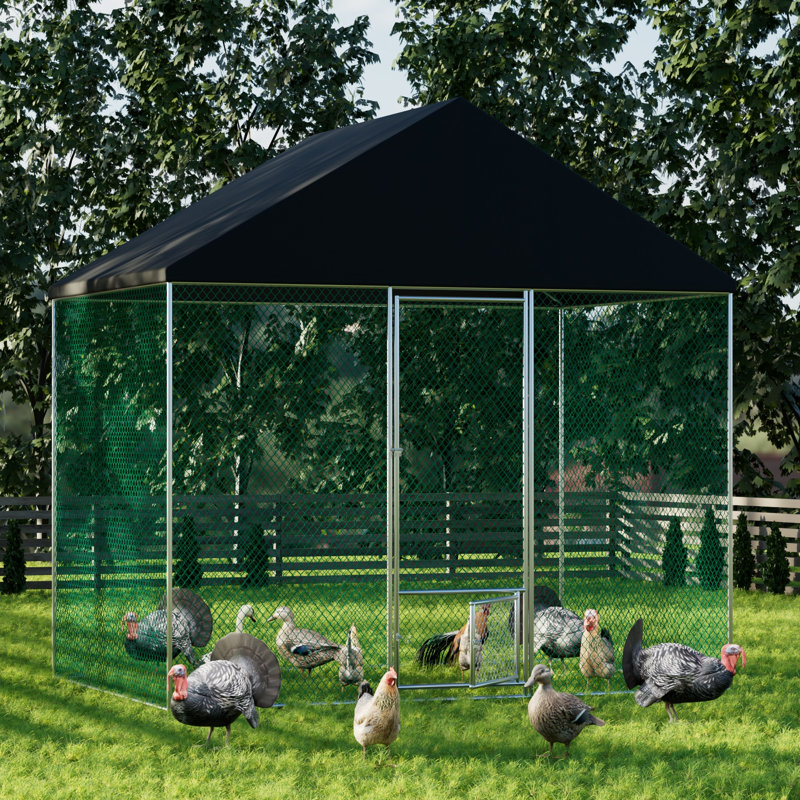 Snellville Chicken Run, 270cm H x 300cm W x 200cm D