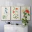 Fleurs des saisons I, reproduction encadrée sur toile 3 pièces-91891073-91891070