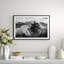 Black And White Horse Giclee Print