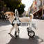 Fauteuil roulant pour chien Fauteuil roulant réglable pour les pattes arrière
