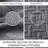 Floral Embossed Quilt Set-125093290-125093289