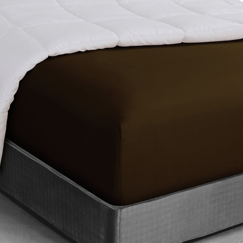 Drap-housse en microfibre douce - Basics by Wayfair ™, Drap-housse de taille simple, Marron