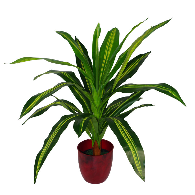 Anivea 90cm Faux Dragon Tree in Pot