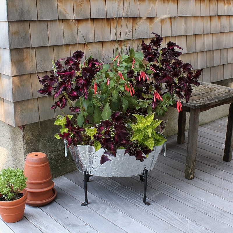 Gunhwat Metal Bucket Stand