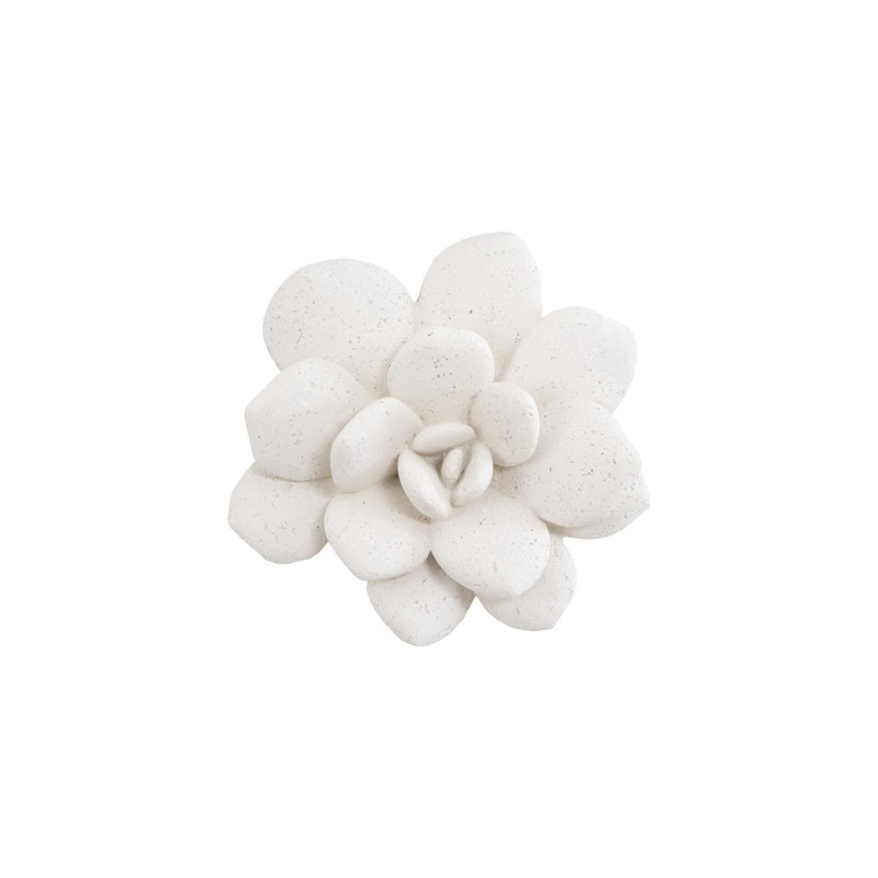 Laui Succulent Wall Art, White
