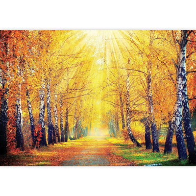 Panneau mural d'automne ensoleillé L 144 pi x l 100 po Sunny A Day