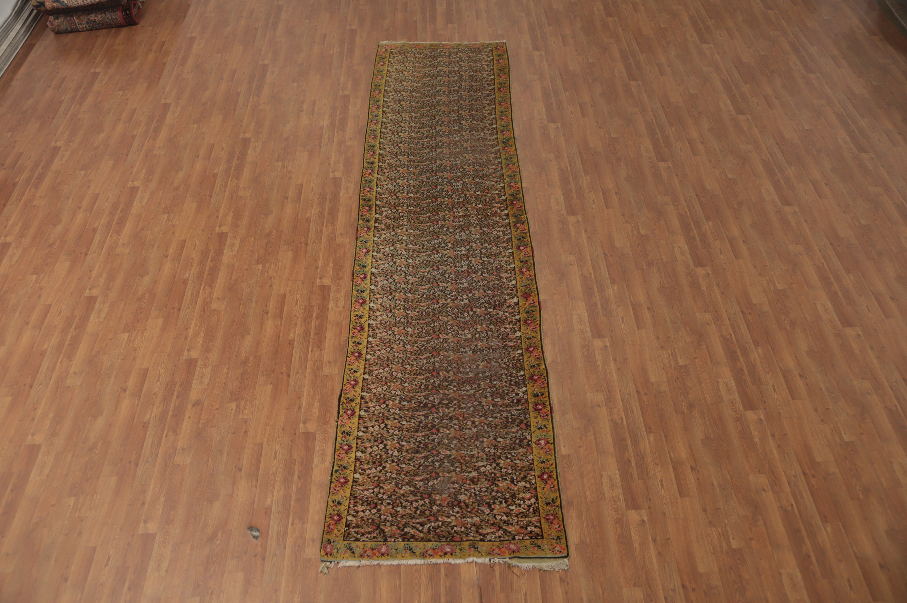 Isabelline Pre-1900 Vegetable Dye Traditional Runner Rug 3x15 | Wayfair