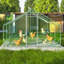 Cage à poules Ceilidh-1970756030
