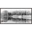 Riverbank Reflection Print by Lillian August