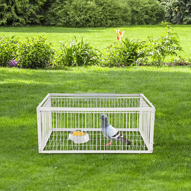 Cage à pigeons rectangulaire Cage à pigeons