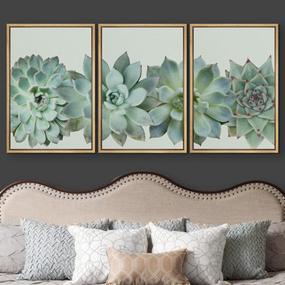 Désert, plante grasse, variété, plante, floral, photographie, réalisme, sud-ouest, groupe