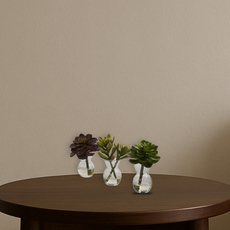 Succulent Arrangements Silk Plant Set