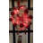 Stollings Outdoor 20 - Bulb 6'' Battery Powered LED Fairy String Light-1606499798