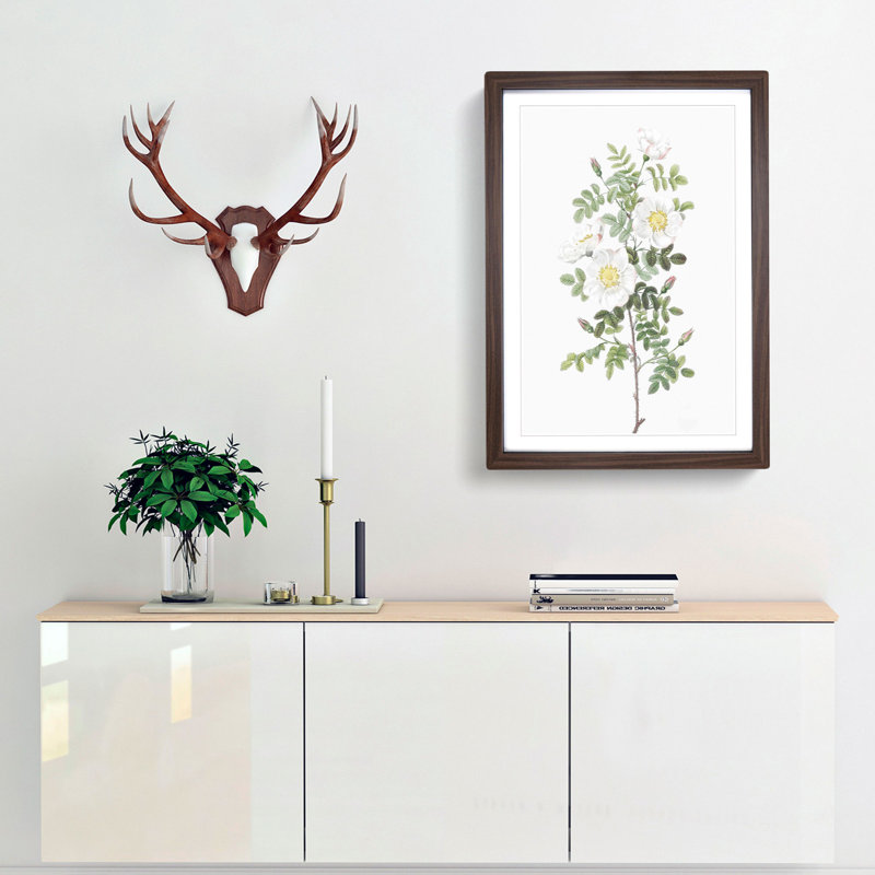 White Burnet Rose by Pierre-Joseph Redoute - Framed Print, Walnut Framed, 48cm H x 36cm W x 2cm D