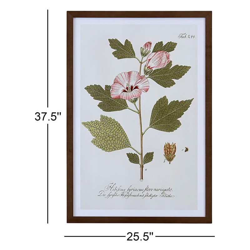 Cihat Five Perfume - Shadowbox Graphic Art on Paper
