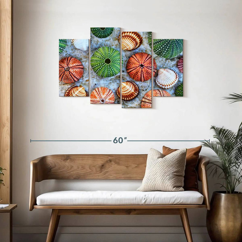 Aletra Colorful Seashells, 27" H x 43" W