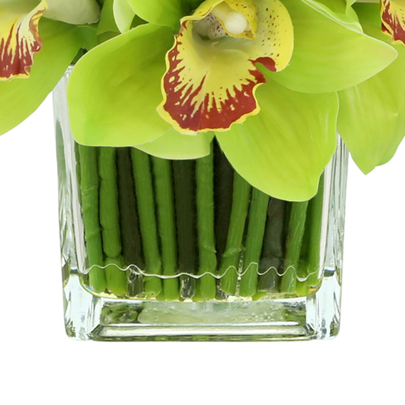 Orchidée Lehn dans un vase en verre, Jaune/vert