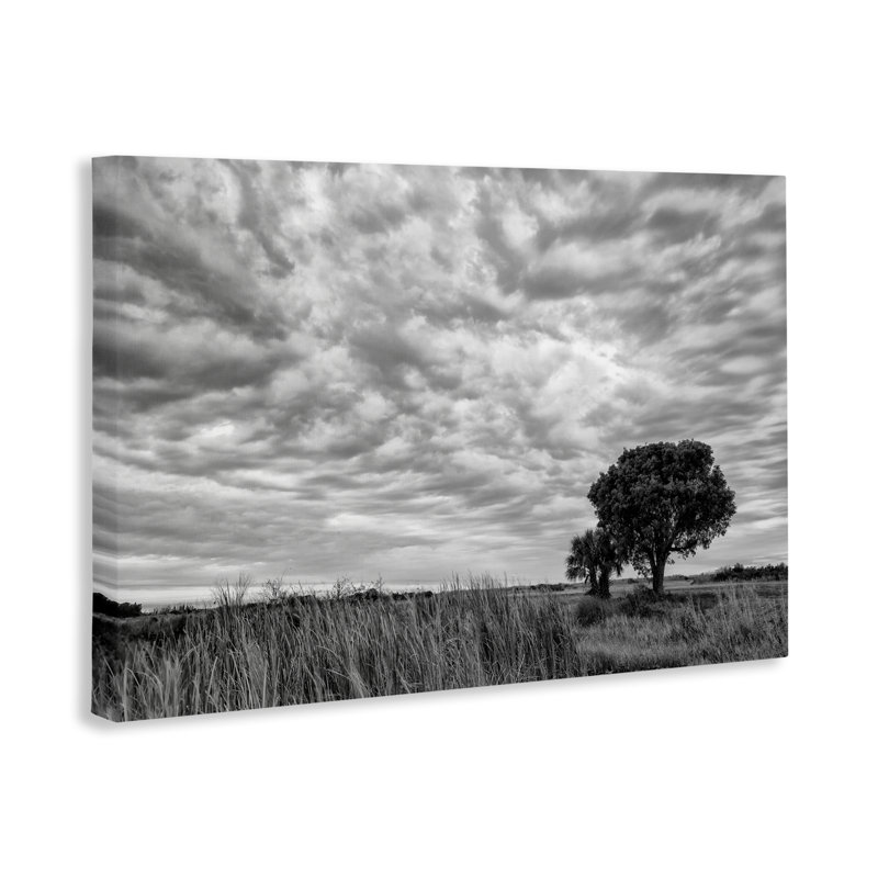 Toile solitaire sous les nuages, conception de Jon Evan, H 30 po x l 45 po