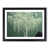 Black Framed
