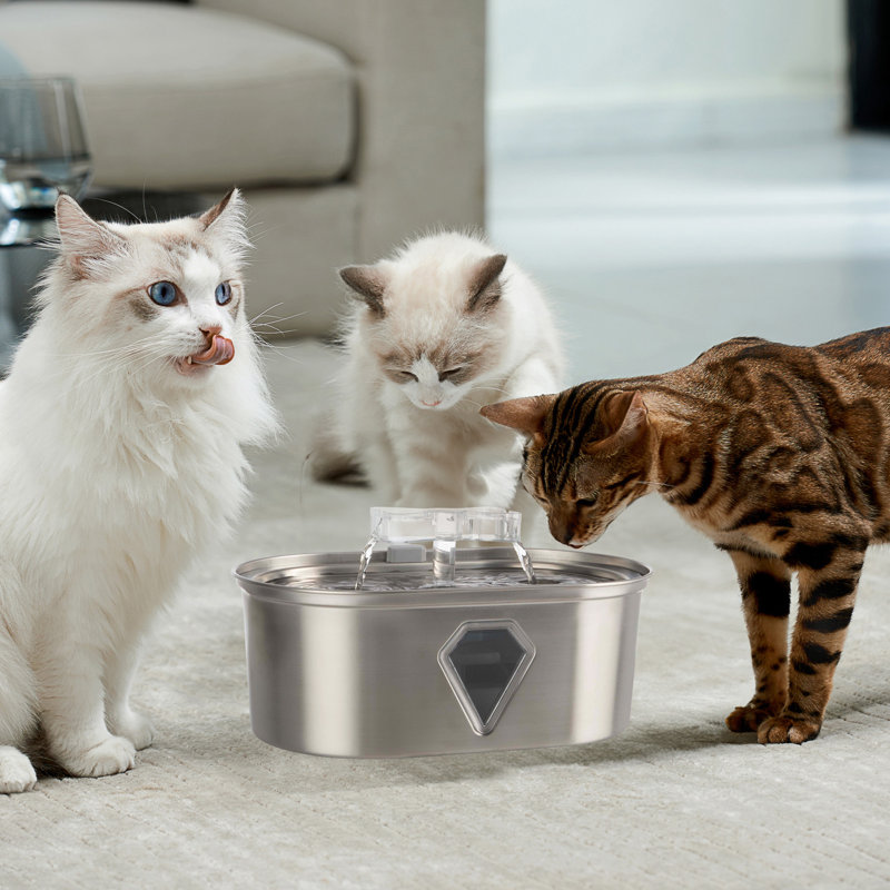 Fontaine pour chat en acier inoxydable 3,5 L PETMAKER, Stainless Steel, H 5,75 po x l 11 po x P 7 po