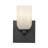 Nola Steel Armed Sconce-95319987