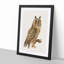 Long-Eared Owl by Von Wright - Picture Frame Painting Print-55759972-55759977