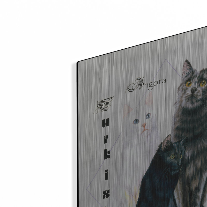 «Turkish Angora» par Barbara Keith, H 24 po x l 16 po