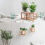 Aleyiah Wood Wall Planter