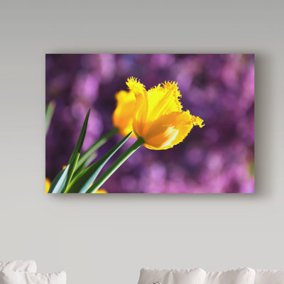 Molloy «Yellow Tulip Soft Mauve», reproduction de photo sur toile tendue
