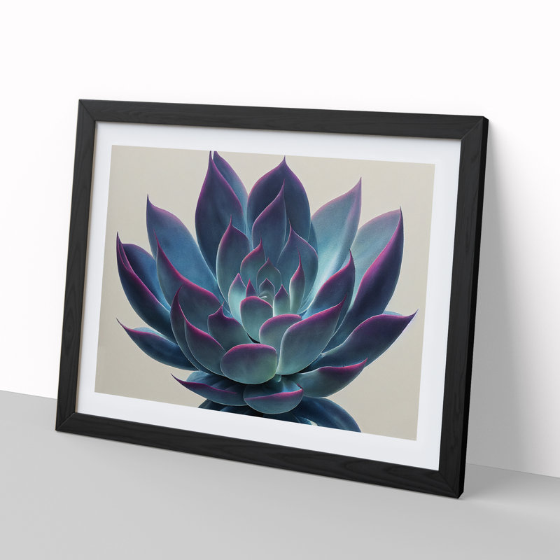 Watercolour Succulent Plant Vol.3 - Single Picture Frame Print, 34cm H x 46cm W, Black