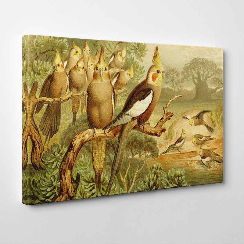 Brehms Tierleben - Wrapped Canvas Painting, 35cm H x 50cm W