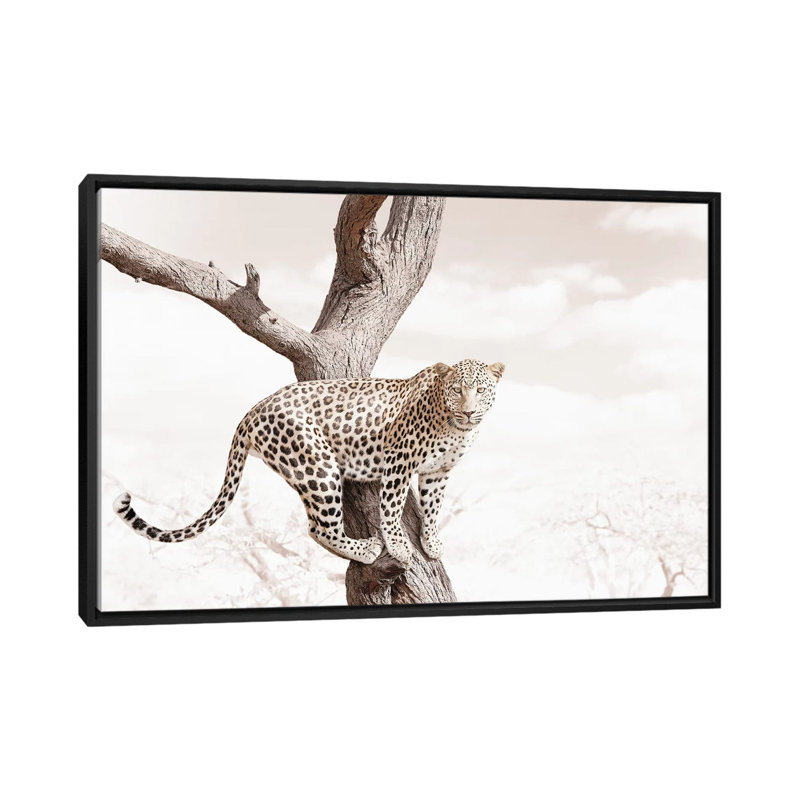 White Leopard by Klaus Tiedge - Print on Canvas, Black Framed, 66.04 cm H x 45.72 cm W