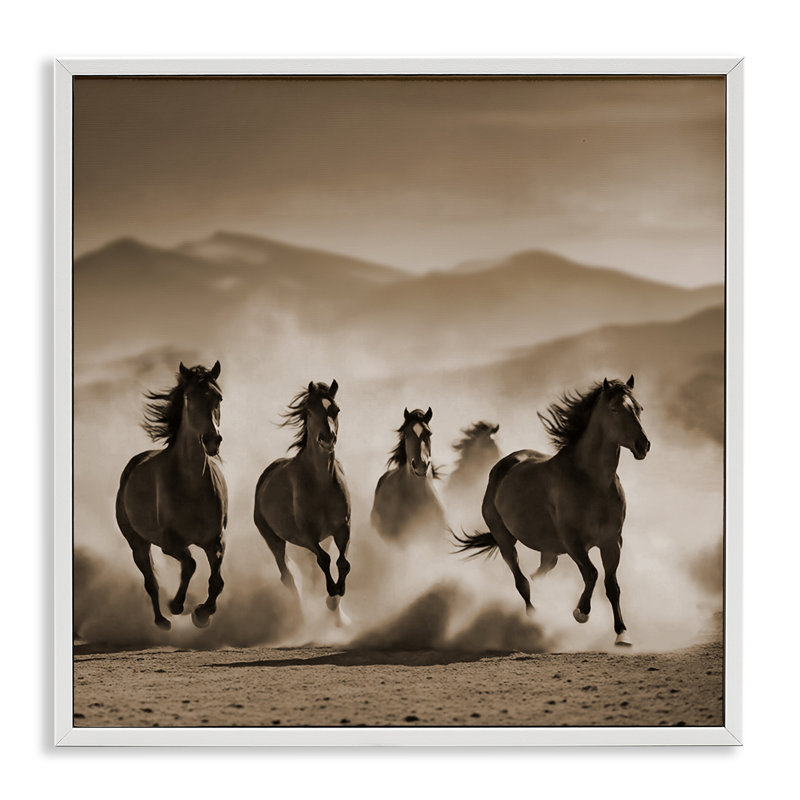 «Trotting Mountain Stallions», art de la giclée encadrée par Noah Bay, Giclée encadrée blanc bord de mer, H 17 po x l 17 po